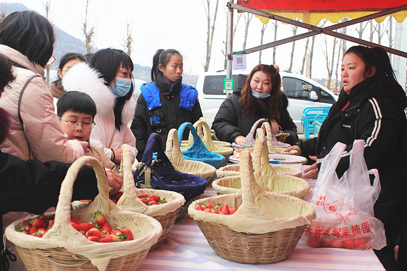 ��ݮ�h��c�´� | ���f�(zh��n)��ɽ�ڲ�ݮ��ժ��Ȥ���������w�e����ζ