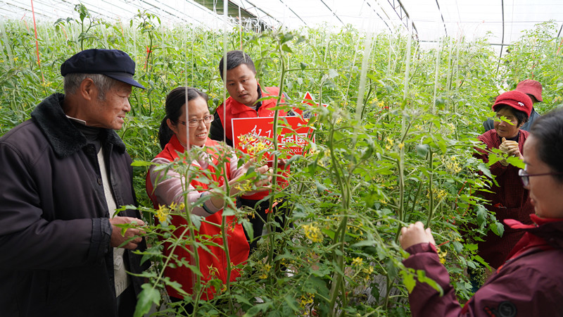 �����l(xi��ng)�����d | ���Ѕ^(q��)����·�ֵ���Ո�r(n��ng)�������_չ�Nֲ���g(sh��)ָ��