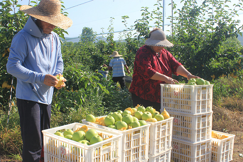 ��ó������Ѕ^(q��)ǰ�����@�����@������������